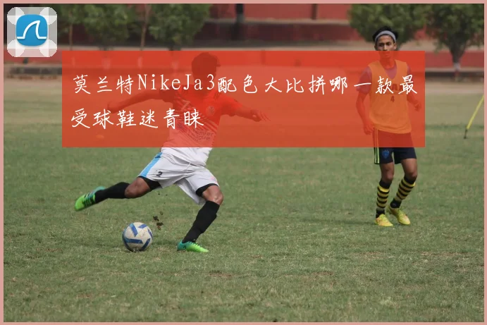 莫兰特NikeJa3配色大比拼哪一款最受球鞋迷青睐