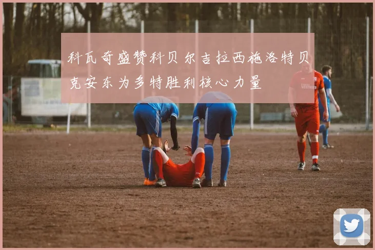 科瓦奇盛赞科贝尔吉拉西施洛特贝克安东为多特胜利核心力量