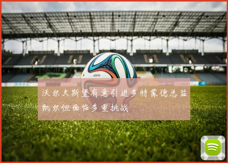 沃尔夫斯堡有意引进多特蒙德总监凯尔但面临多重挑战