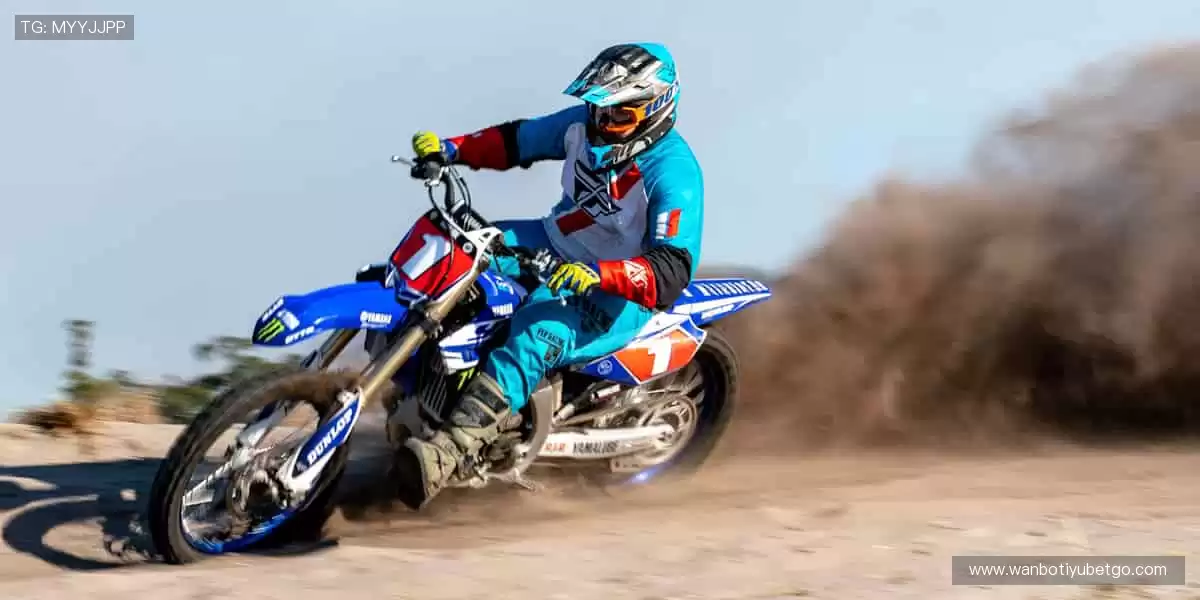 🚴 速度激情，赛道争锋！🏆